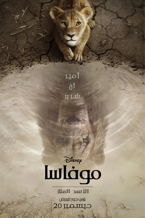 الأسد الملك موفاسا